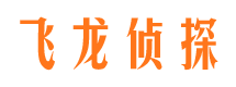 波密侦探公司